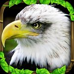 Download Eagle Apk Mod 3.0 For Android To Experience Unlimited Energy. Download Eagle Apk Mod 3 0 For Android To Experience Unlimited Energy