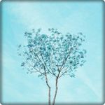 Blue Aesthetic Wallpaper HD Mod Apk 5.0 []