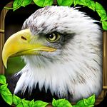 Eagle Game Mod Apk 3.0 []