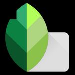 Snapseed Mod Apk 2.21.0.566275366 []