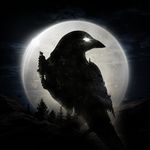 NIGHT CROWS Mod Apk 1.4.8 []