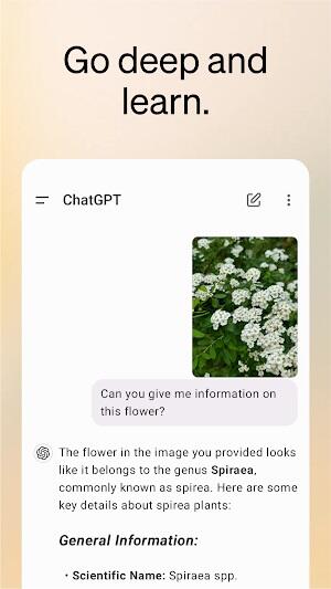 chatgpt mod apk for android